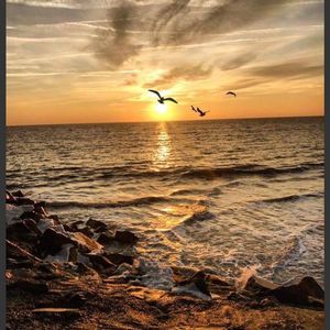 Meet your Posher, Toni